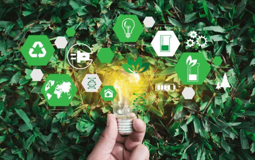 Sustainable Products and Green Branding: 6 Big Brands That Launched Eco-Friendly Trademarks