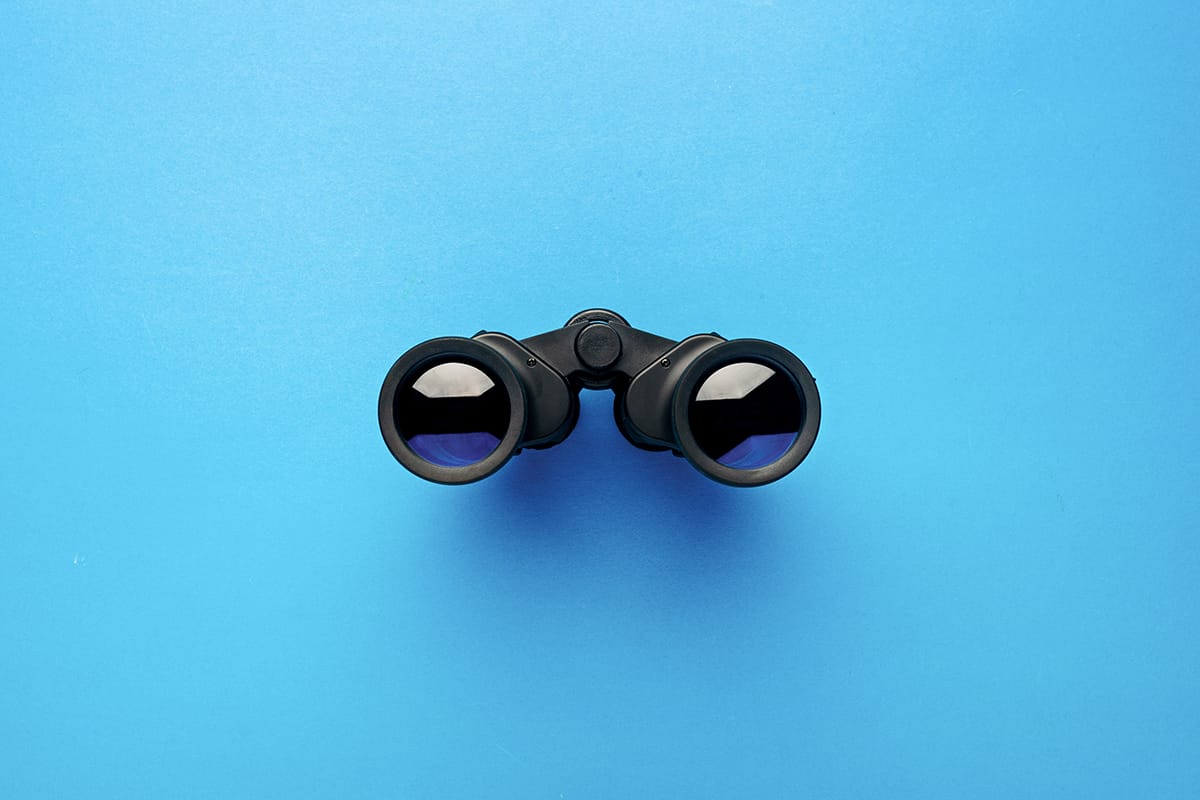 Mastering Brand Protection